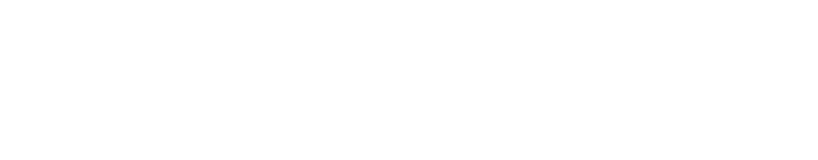 API Investment