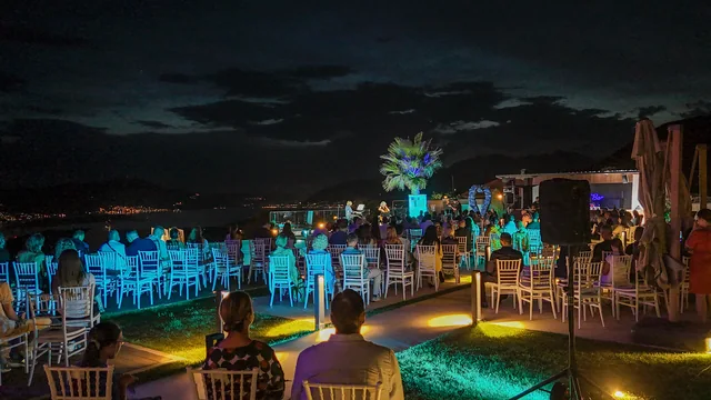 Royal Blue — outdoor evening gathering